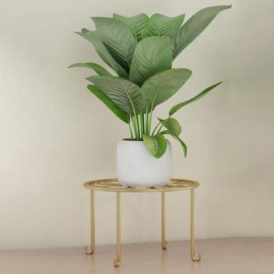 Modern Iron Plant Stand Black Golden Indoor Outdoor
